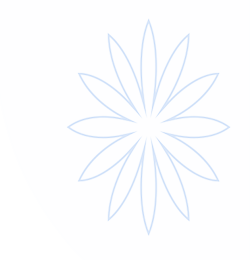 司机社发布页 | 司机社 | 进入网站入口